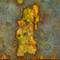 WoW Classic Kalimdor Icon